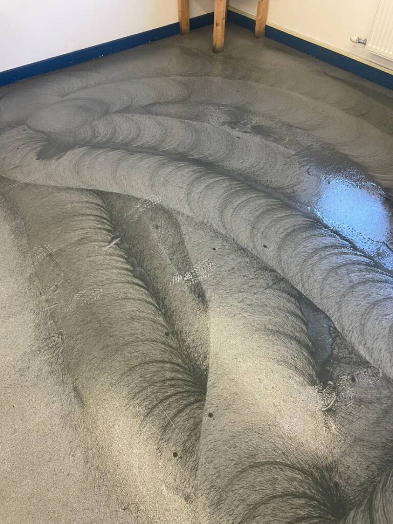 Floor Maintenance | CleanFreakz