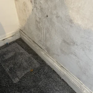 609DB92C-4E68-4C1D-AB2C-B6D33C19078A